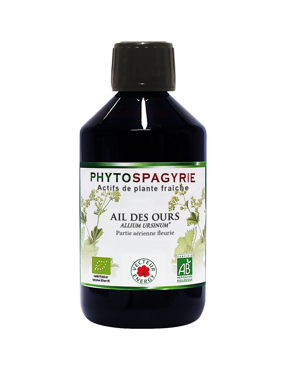 Phytospagyrie - Ail des ours