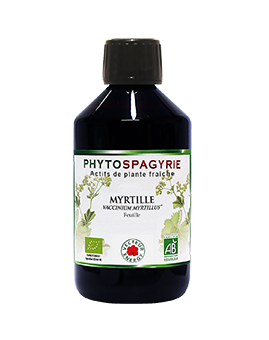 Phytospagyrie - Myrtille