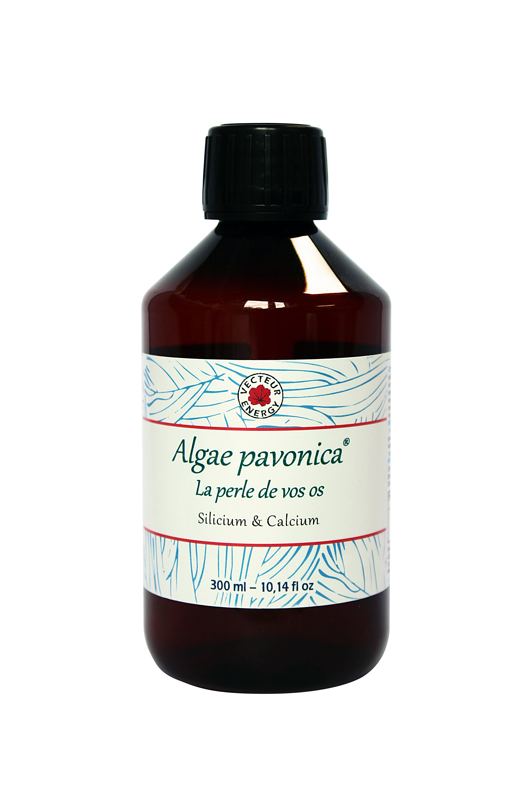 ALGAE PADINA PAVONICA EXTRAIT