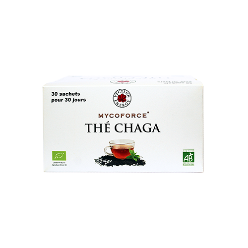 Thé chaga